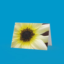 Yellow Beauty Birthday Card cards