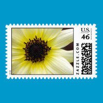 Yellow Beauty stamps