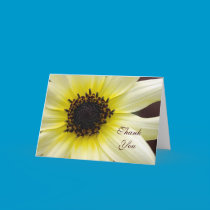 Yellow Beauty, ThankYou cards