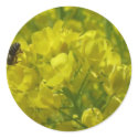 yellow bee 2 stickers