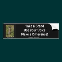 Yellow-Bellied Marmot Bumper Sticker bumper stickers