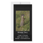 Yellow-Bellied Marmot Card Photo Card Template