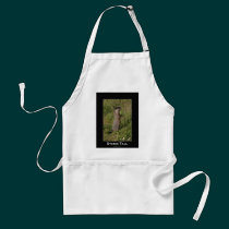 Yellow-Bellied Marmot Gifts aprons