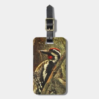 Yellow-bellied Sapsucker Luggage Tag