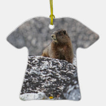 Yellow Belly Marmot Christmas Tree Ornament