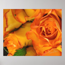 Yellow BiColor Roses Print