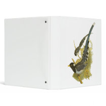 Yellow-billed Blue Magpie Vinyl Binders