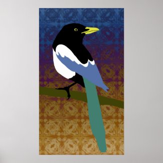 Yellow Billed Magpie print