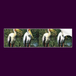 Yellow-billed Storks