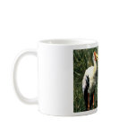 Yellow-billed Storks