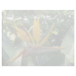 yellow Bird of paradise flowers Letterhead Template