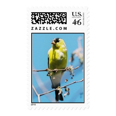 yellow bird stamps by witaly