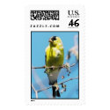 yellow bird postage by witaly yellow bird postage