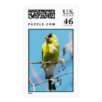 yellow bird postage by witaly yellow bird postage