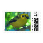 Yellow Bird Postage
