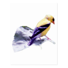 Yellow Bird Postcard