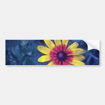 yellow Black Eyed Susan (Rudbeckia Hirta) flowers Bumper Stickers