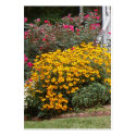 Yellow Black Eyed Susans Business Cards