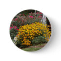 Yellow Black Eyed Susans Pin