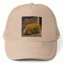 Yellow Black Eyed Susans