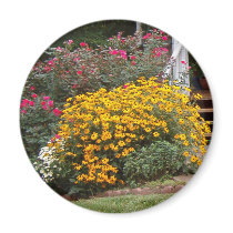Yellow Black Eyed Susans Fridge Magnets