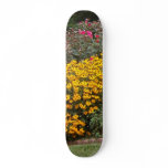 Yellow Black Eyed Susans Skate Decks