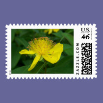 yellow bloom stamps