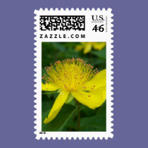 yellow bloom stamps