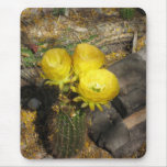 Yellow Blooming Cactus Trio Mousemat