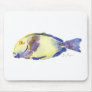 Yellow/Blue Fish Mousepad
