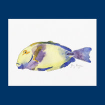 Yellow/Blue Fish Postcard postcards