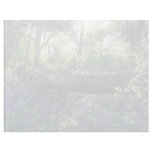 Yellow Bluebell wood, Howe Park Wood, Milton Keyne Letterhead Design