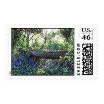 Yellow Bluebell wood, Howe Park Wood, Milton Keyne Postage Stamp