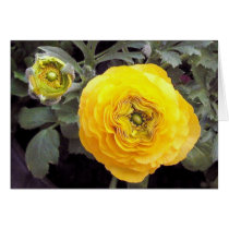 Yellow Bomber cards by mmargot Yellow Bomber cards