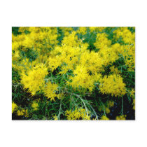 Yellow Bouquet postcards by Killlashandra Yellow Bouquet postcards