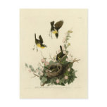 Yellow-breasted Chat postcards