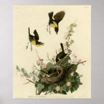 Yellow-breasted Chat Poster