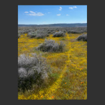 Yellow Brick Curve posters