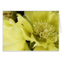 Yellow Brilliance cards