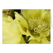 Yellow Brilliance Cards