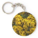 Yellow Broom keychains
