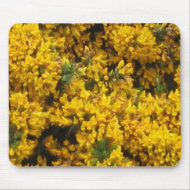 Yellow Broom mousepad