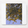 Yellow Broom Mousepads