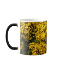 Yellow Broom mugs