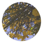 Yellow Broom Round Sticker