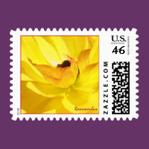 Yellow Buttercup Stamp stamps