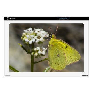 Yellow Butterfly 17&quot; Laptop Skin