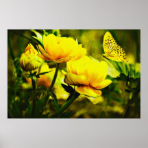 Yellow Butterfly and the Rose Print