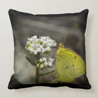 Yellow Butterfly Black Edge Throw Pillow