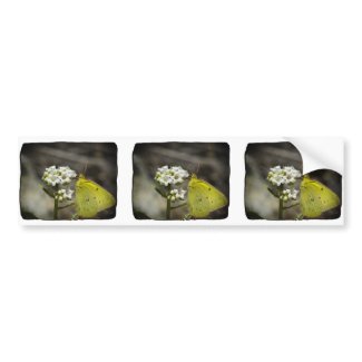 Yellow Butterfly Bumper Stickers